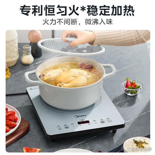 電磁爐品牌排名前10名 適合家庭使用的智能高效電器選購(gòu)指南